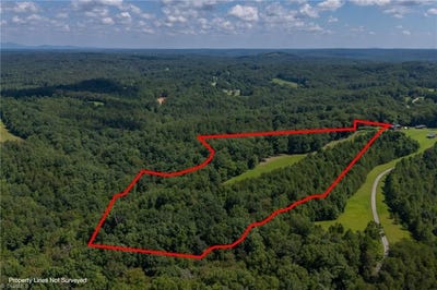 /international/us/1392-mission-road-danbury-nc-110101404457/