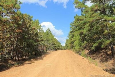 /international/us/wagonwheel-road-stringtown-ok-110108579349/
