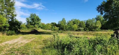 /international/us/574-caleb-road-braidwood-il-110108341516/