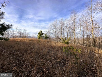 /international/us/333-ashton-woods-moorefield-wv-110104547807/