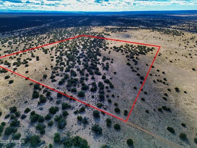 /international/us/lot-78-witch-well-ranches-st-johns-az-110097580926/