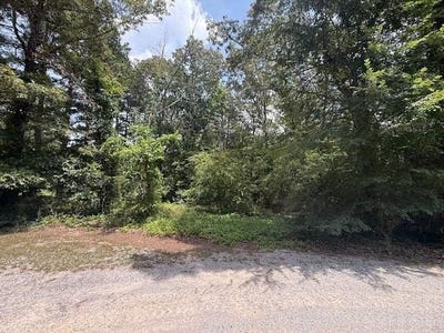 /international/us/rick-rd-southside-ar-110101070741/