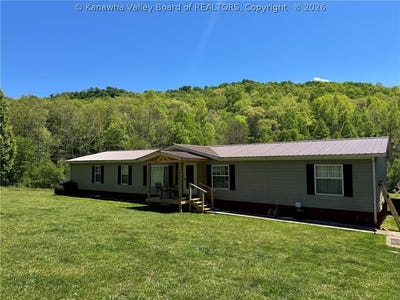 /international/us/1414-ossia-road-duck-wv-110107982803/