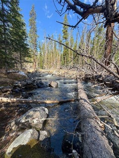 /international/us/nhn-herring-flats-road-anaconda-mt-110098818969/