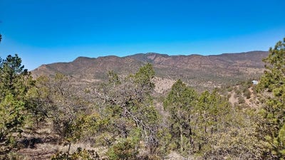 /international/us/217-squaw-valley-trail-fort-davis-tx-110091786271/