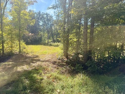 /international/us/watson-blvd-lot-12-meherrin-va-110120130989/