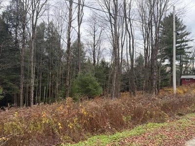 /international/us/maxfield-road-waterville-vt-110103423442/