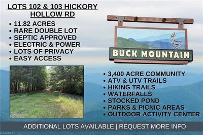 /international/us/hickory-hollow-road-lot-102-103-purlear-nc-110102060002/
