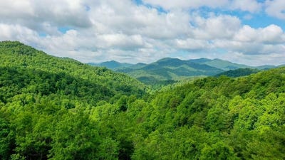 /international/us/1515-briartown-church-road-topton-nc-110100146098/?lang=fr