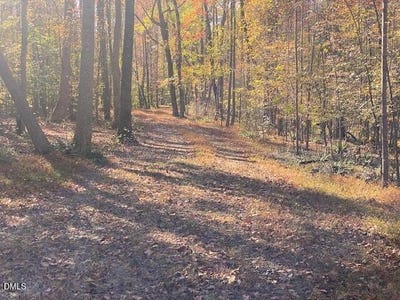 /international/us/sepelo-way-lot-5-efland-nc-110103420413/
