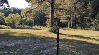/international/us/birch-boulevard-poplarville-ms-110120534471/