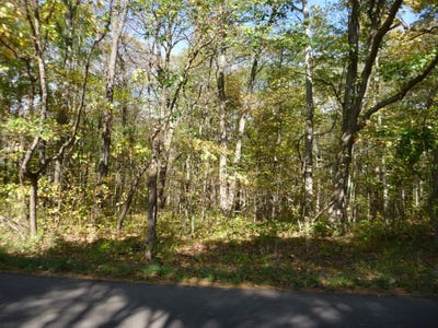 /international/us/vl-w-ab-avenue-otsego-mi-110101252521/