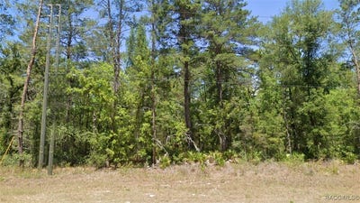 /international/us/6389-w-oak-park-boulevard-homosassa-fl-110101102836/?lang=pt