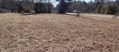 /international/us/1-acre-hwy-57-chidester-ar-110105530182/