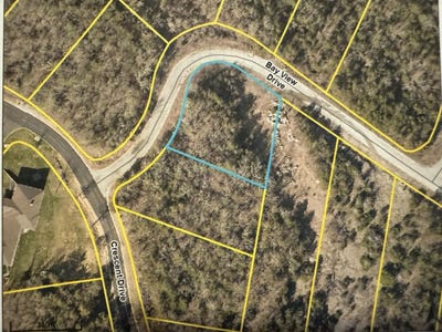 /international/us/138-bay-view-drive-lot-194-hollister-mo-110108491338/