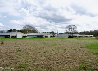 /international/us/48-fulgham-road-tylertown-ms-110105979447/
