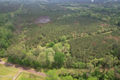 /international/us/campbell-creek-road-mendenhall-ms-110091515325/