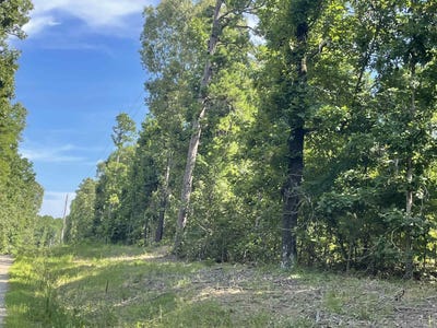 /international/us/stowe-road-heber-springs-ar-110100977489/?lang=es