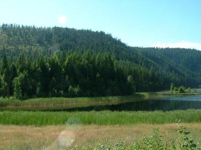 /international/us/49xx-sheep-creek-rd-northport-wa-110119681550/