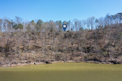 /international/us/lot-7-flat-rock-cove-crane-hill-al-110101065252/