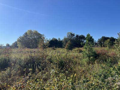 /international/us/3-acres-amber-court-nathalie-va-110120528494/