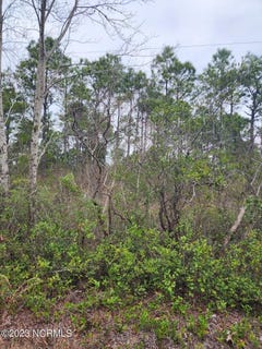 /international/us/lot-8-pennsylvania-avenue-rocky-point-nc-110097916783/?lang=zh-tw