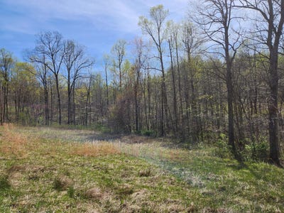 /international/us/7099-furnace-road-stanton-ky-110098774124/