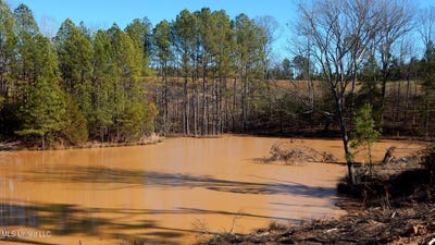 /international/us/732-graysport-crossing-road-lot-13-gore-springs-ms-110089772103/