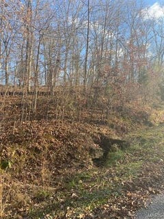 /international/us/18-wagon-creek-loop-creal-springs-il-110098967383/