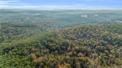 /international/us/661-cedar-tree-vernon-al-110105062877/