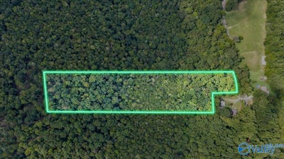 /international/us/6-5-acres-fish-trap-road-grant-al-110119902696/