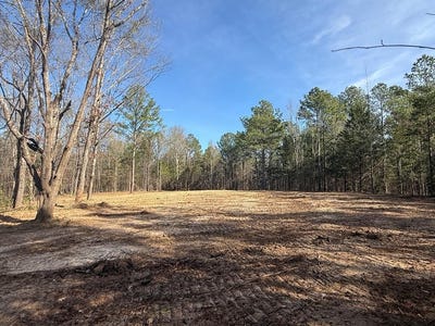 /international/us/hwy-336-thaxton-ms-110104290491/