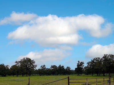 /international/us/2231-greens-creek-road-ledbetter-tx-110107922904/