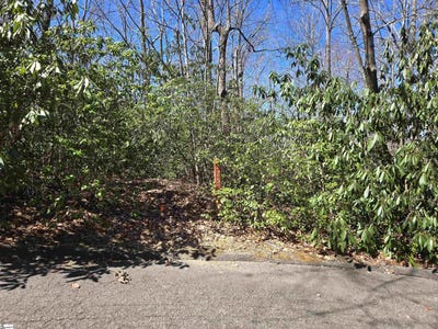 /international/us/11-larkspur-lane-cleveland-sc-110098817980/
