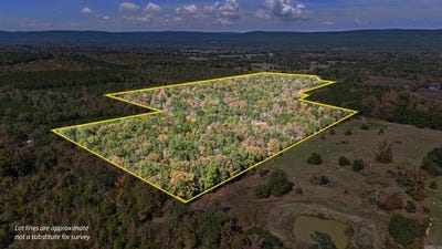 /international/us/307-highway-bluffton-ar-110103337254/