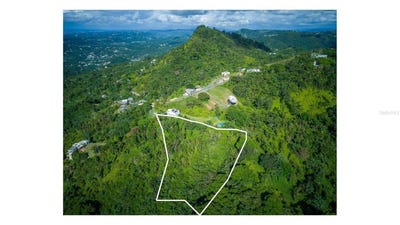 /international/us/pr-879-bo-guaraguao-arriba-bayamon-pr-110107881322/