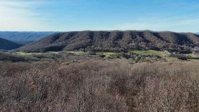 /international/us/charlie-bird-dr-hot-springs-va-110104010693/