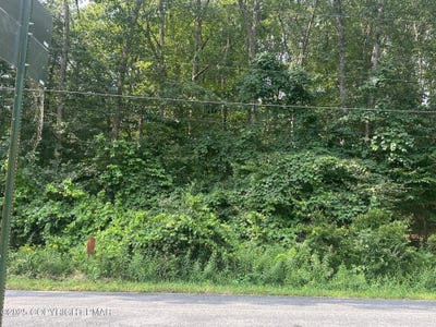 /international/us/lot-218-brookdale-road-bartonsville-pa-110101177994/?lang=zh-cn