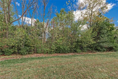 /international/us/v-l-usher-road-olmsted-twp-oh-110108341241/