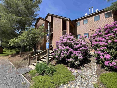 /international/us/6f-deer-creek-road-dover-vt-110100474013/