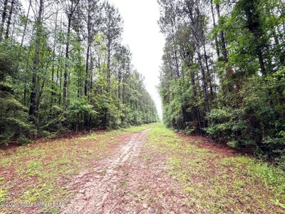 /international/us/emerald-state-line-road-magnolia-ms-110107732191/