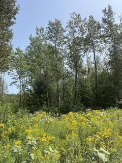 /international/us/map3lot12c-fowler-road-crossroad-woodland-me-110101452686/?lang=fr