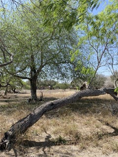 /international/us/601-s-county-road-430-sw-10th-premont-street-lot-pt-lts-9-24-premont-tx-110106528598/