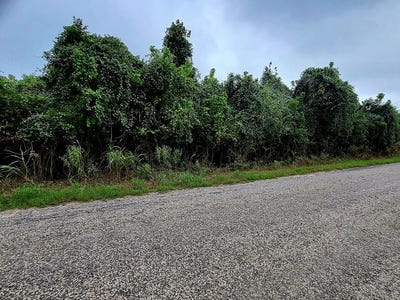/international/us/446-riverside-drive-bastrop-tx-110120499927/