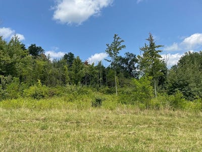 /international/us/hemlock-hills-rd-lot-11a-towanda-pa-110102852562/
