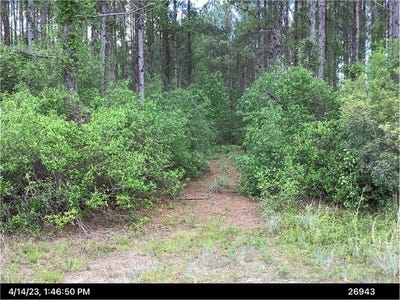 /international/us/0-inchachee-road-white-oak-ga-110100156295/