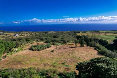 /international/us/32-2471-stone-road-papaaloa-hi-110102916664/