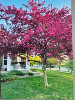 /international/us/66-meadowlark-drive-hudson-wi-110107354730/