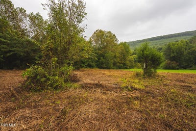 /international/us/1432-beech-creek-road-rogersville-tn-110120056395/