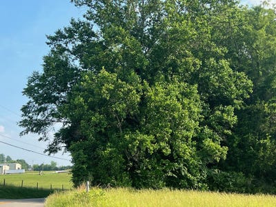 /international/us/somerset-ky-110095891826/